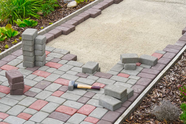 Best Driveway Paving Near Me  in Pleasanton, TX
