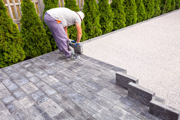 Best Local Driveway Pavers  in Pleasanton, TX