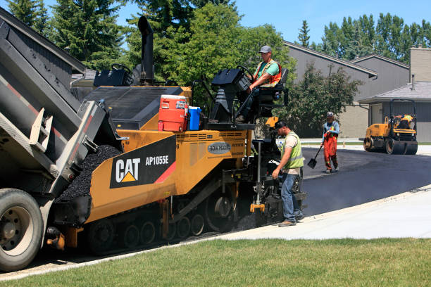 Best Paver Driveway Replacement  in Pleasanton, TX